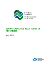 Senior Executive Team Terms of Reference